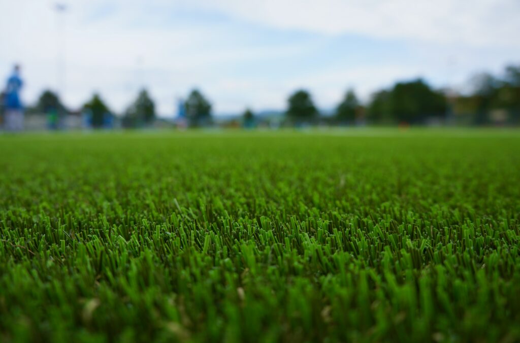 Heesters Kunstgras