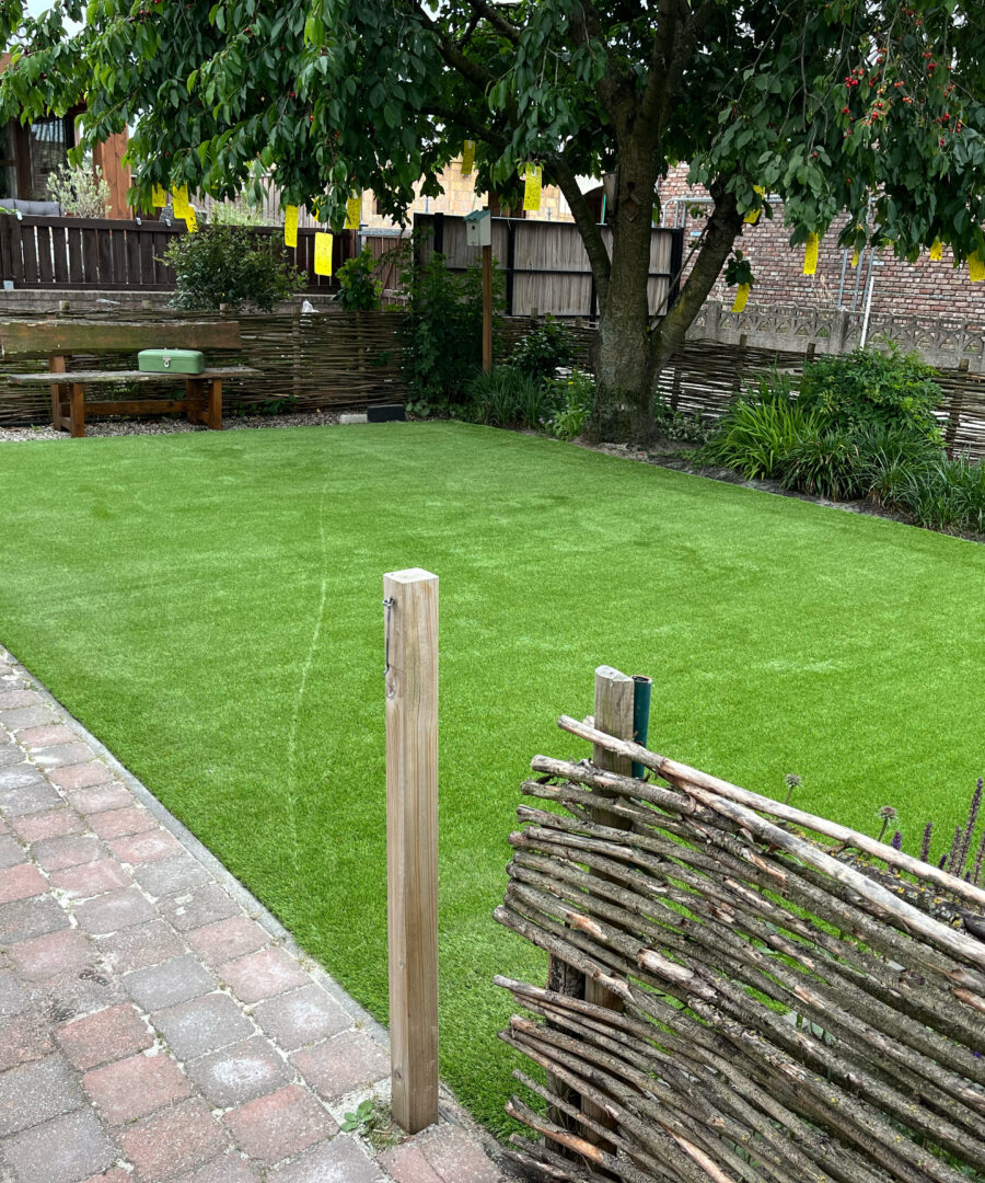 Arizona sfeerafbeelding